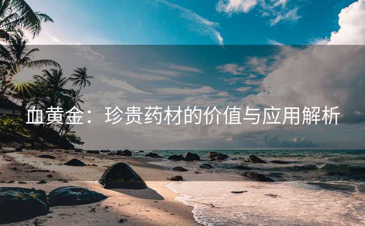 血黄金：珍贵药材的价值与应用解析